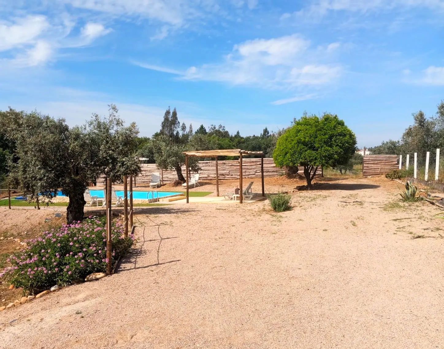 Piscina junto ao olival com pérgula, paisagem aberta do Ribatejo