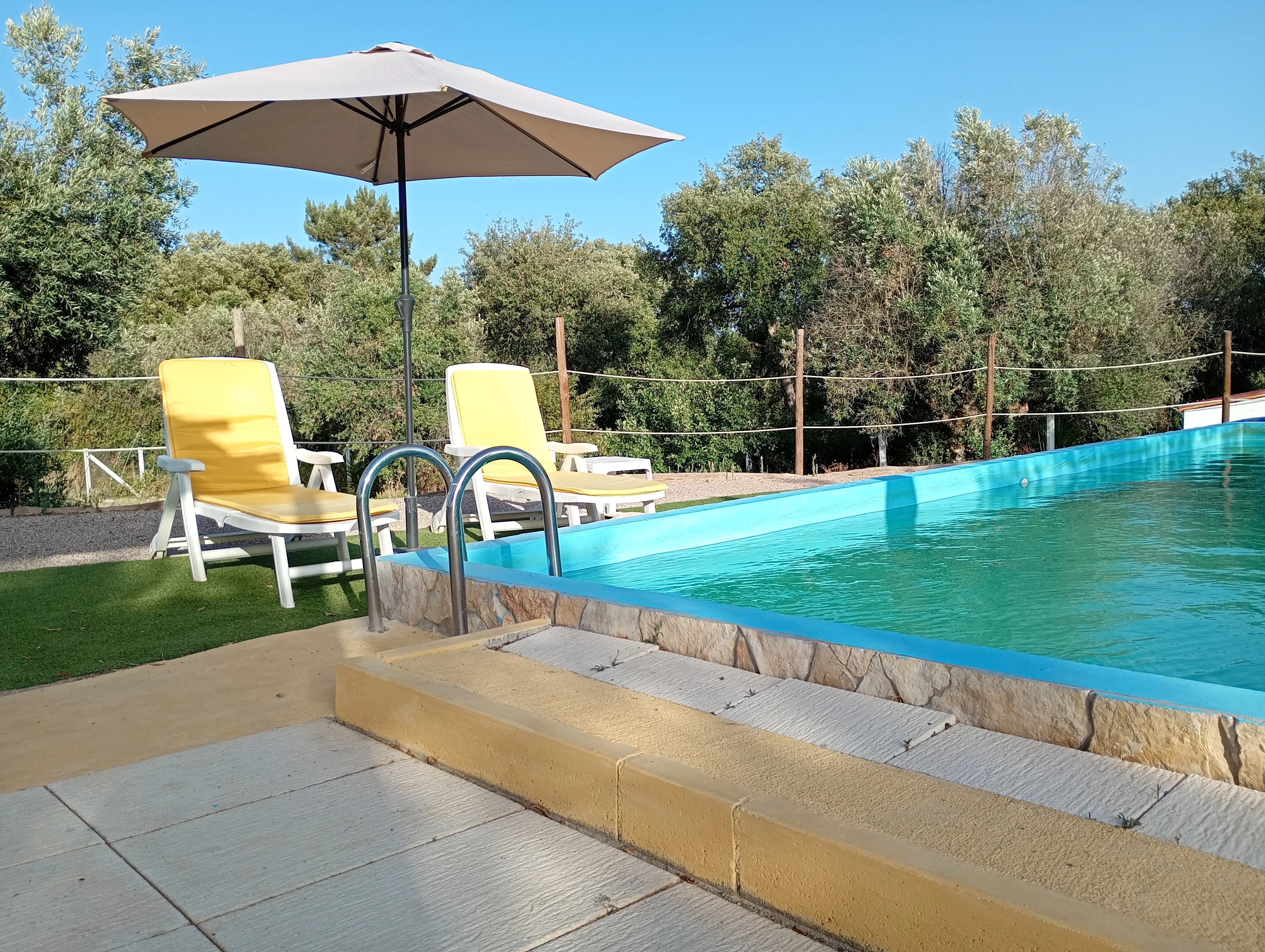 Piscina ao sol com chapéu de sol e duas espreguiçadeiras amarelas, junto ao relvado e ao olival